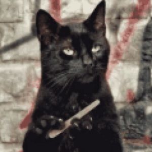 Meet your Posher, Leslie